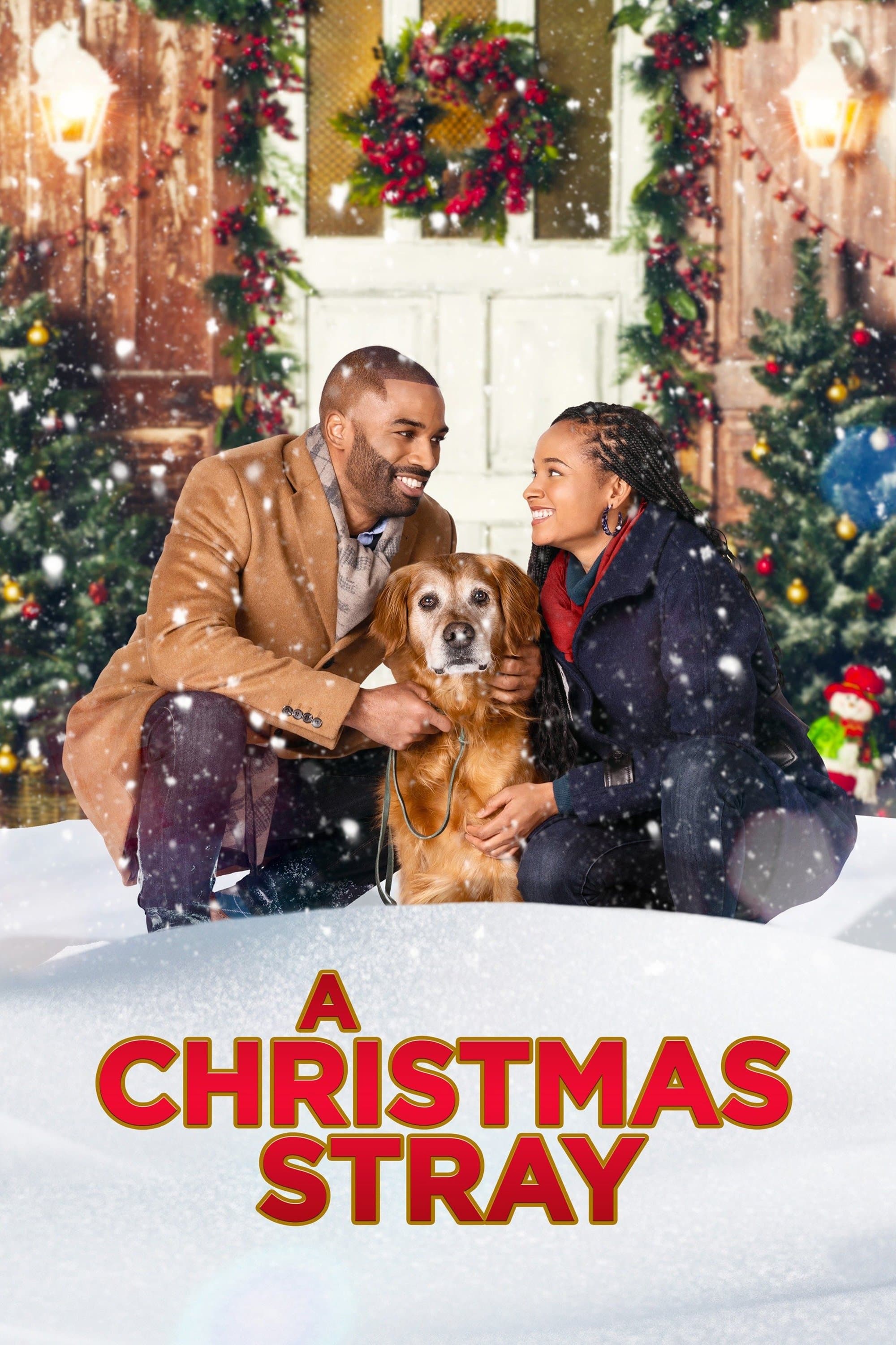 A Christmas Stray full movie