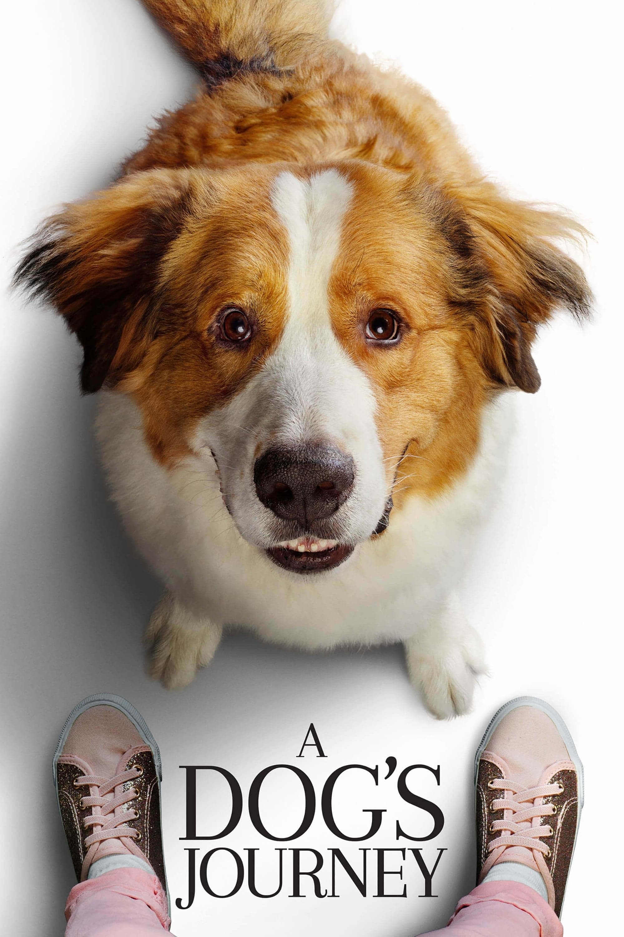 A Dog's Journey full movie
