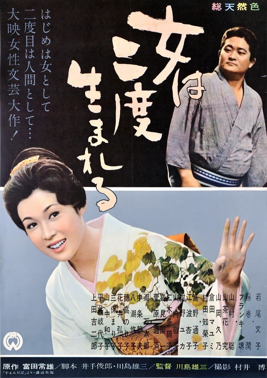 A Geisha's Diary full movie