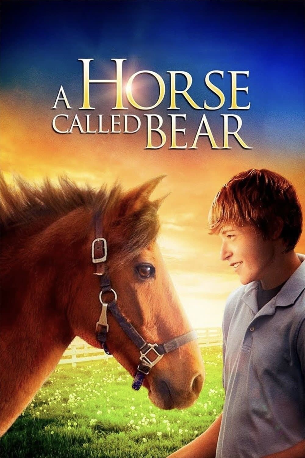 A Horse Called Bear full movie