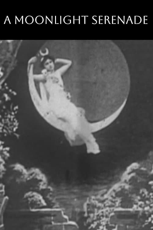 A Moonlight Serenade full movie
