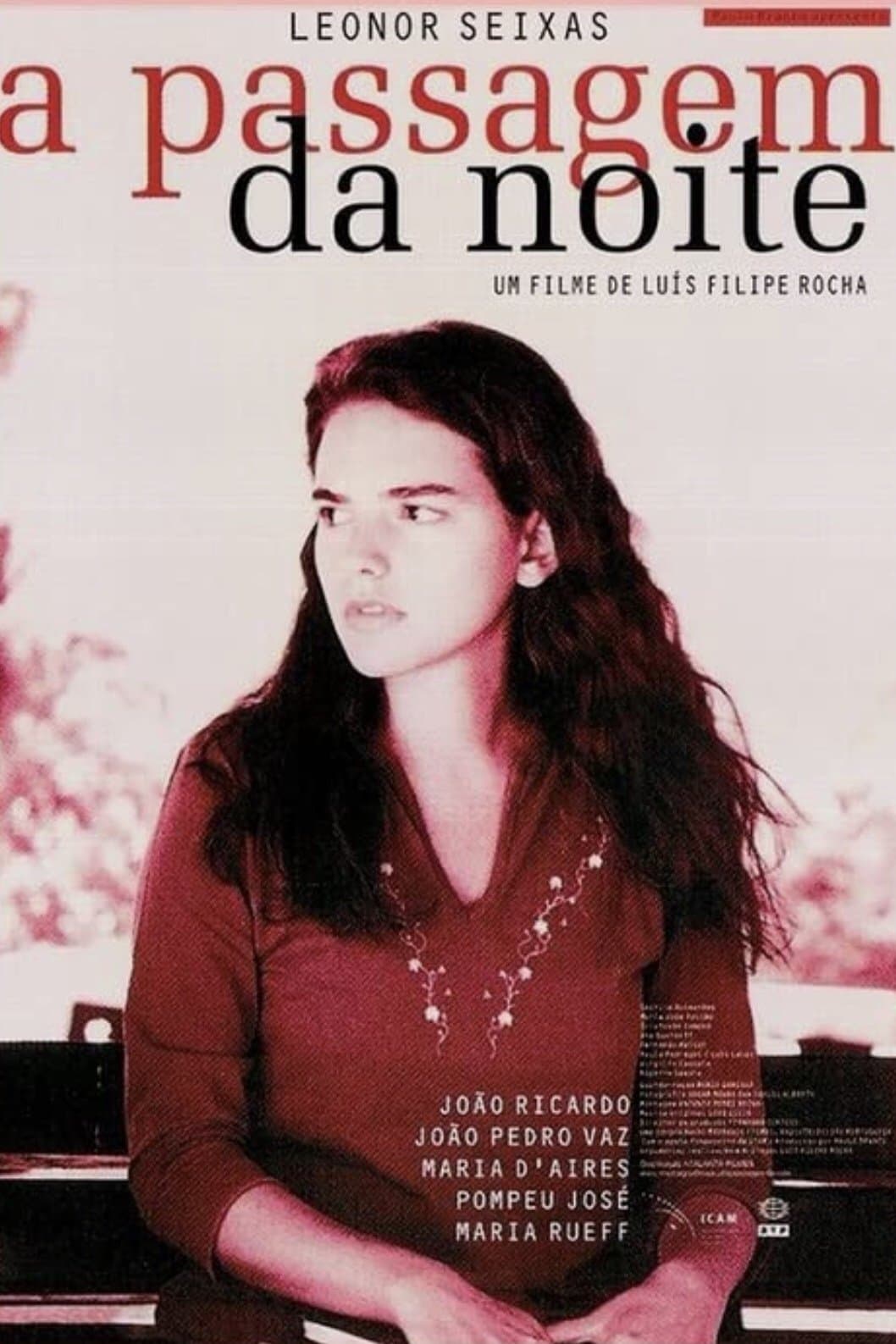A Passagem da Noite full movie