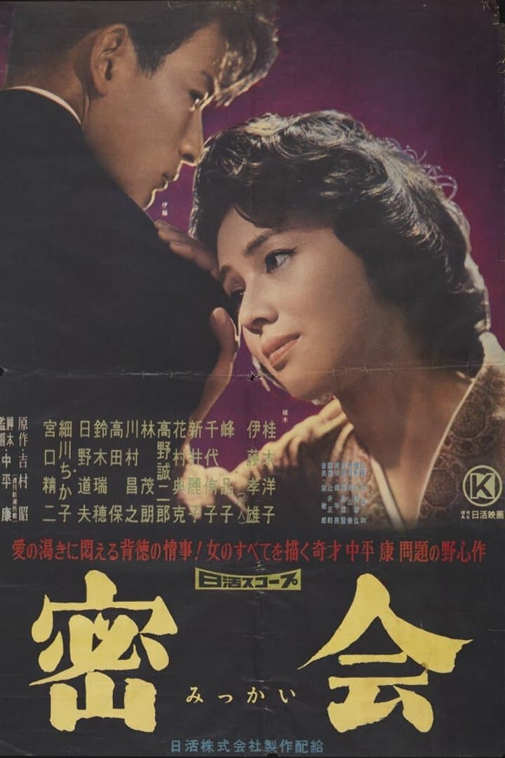 A Secret Rendezvous full movie