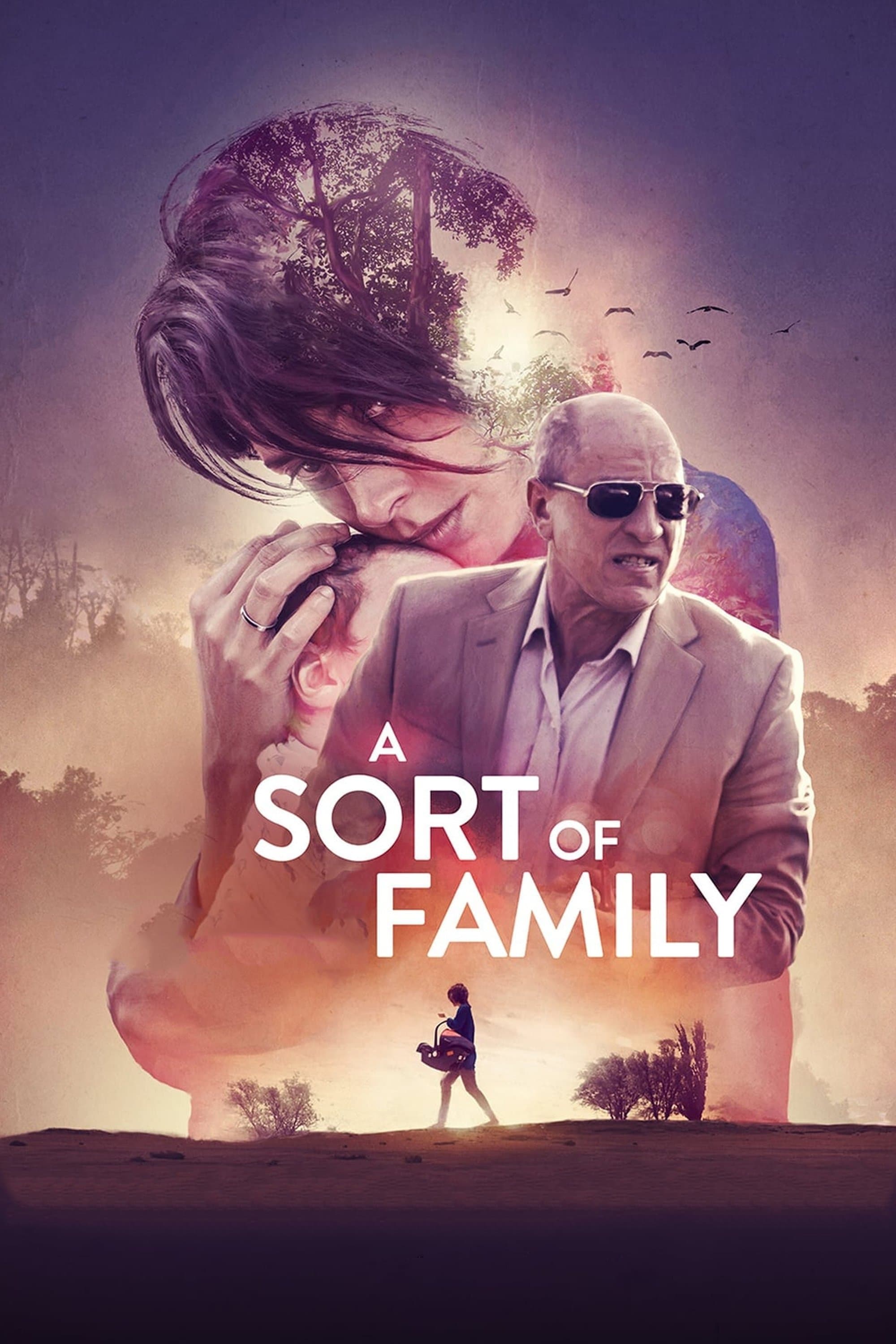 A Sort of Family full movie