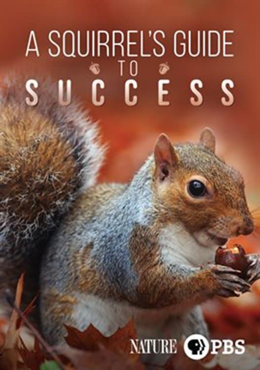 A Squirrel's Guide to Success full movie