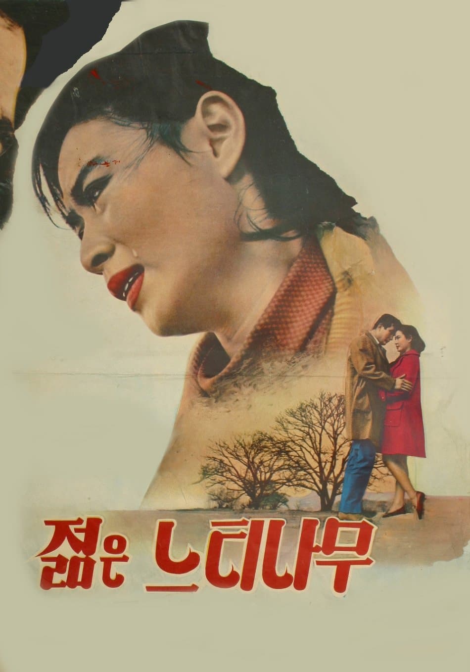 A Young Zelkova full movie