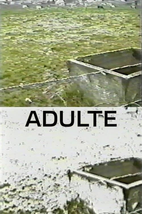Adulte full movie