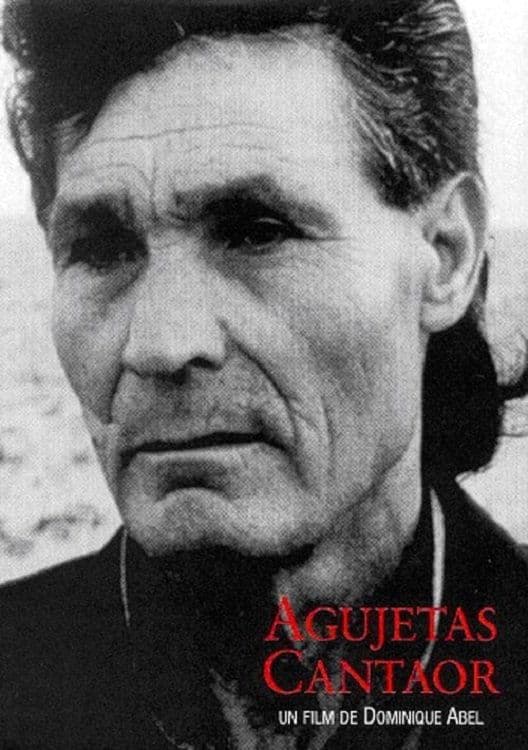 Agujetas Cantaor full movie