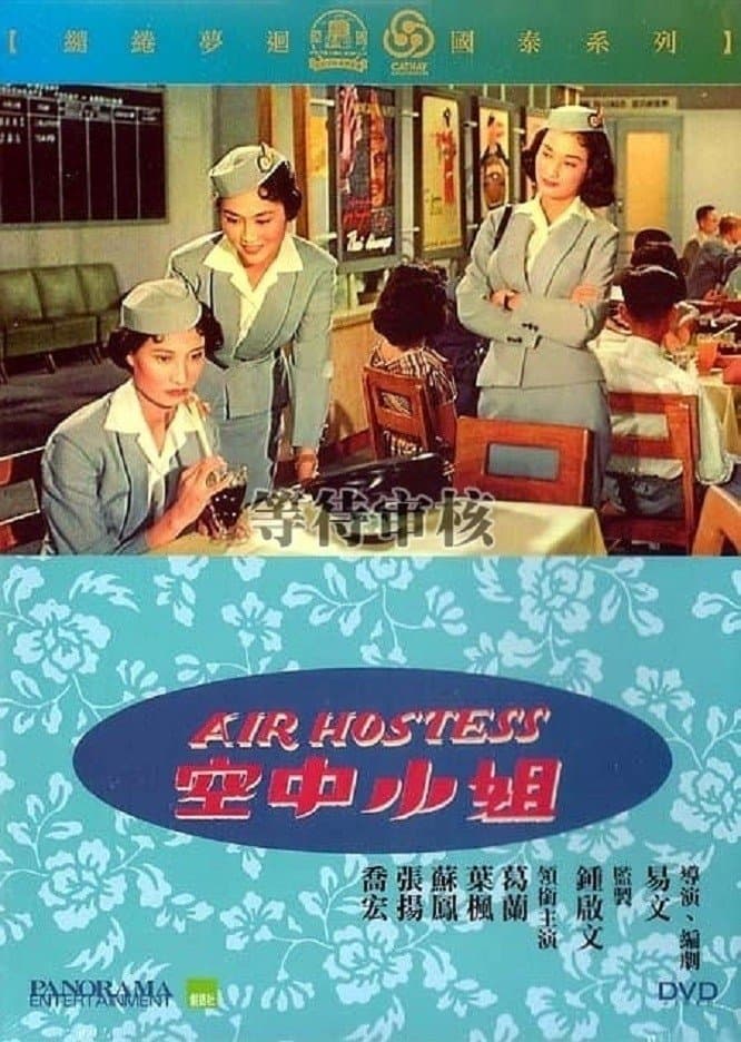 Air Hostess full movie