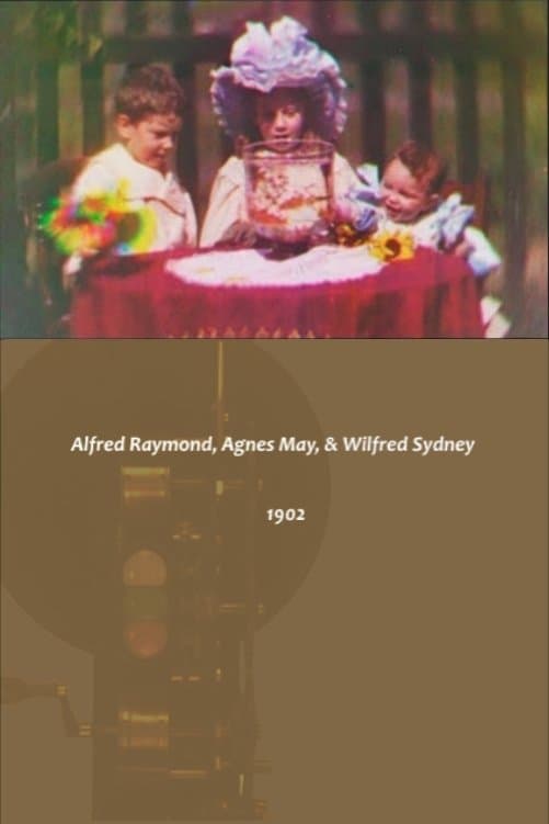 Alfred Raymond, Agnes May, & Wilfred Sydney full movie