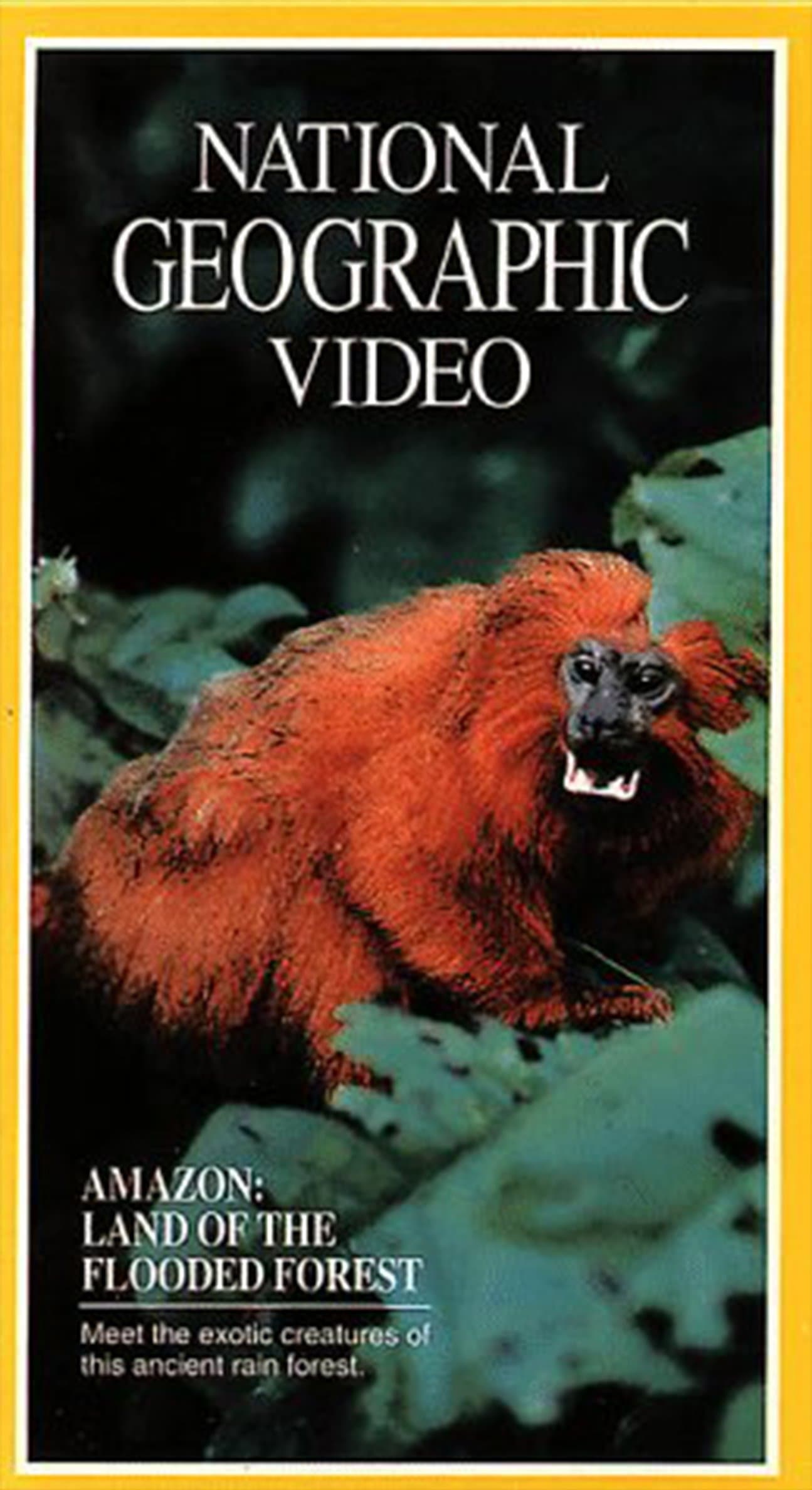Amazon: Land of the Flooded Forest full movie