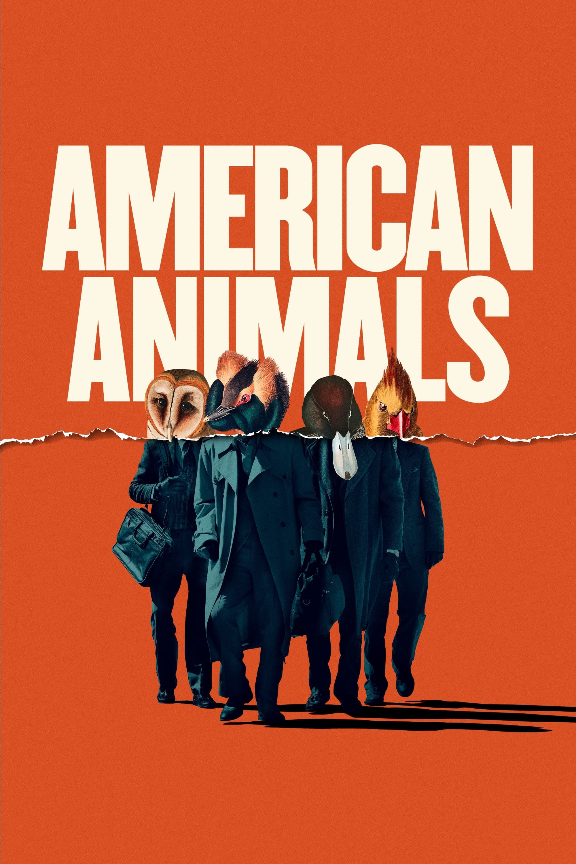American Animals full movie