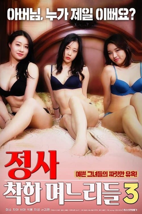An Affair: Kind Daughters-in-law 3 full movie