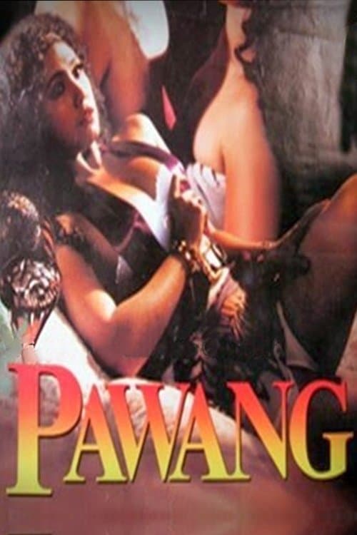 Animal Tamer full movie
