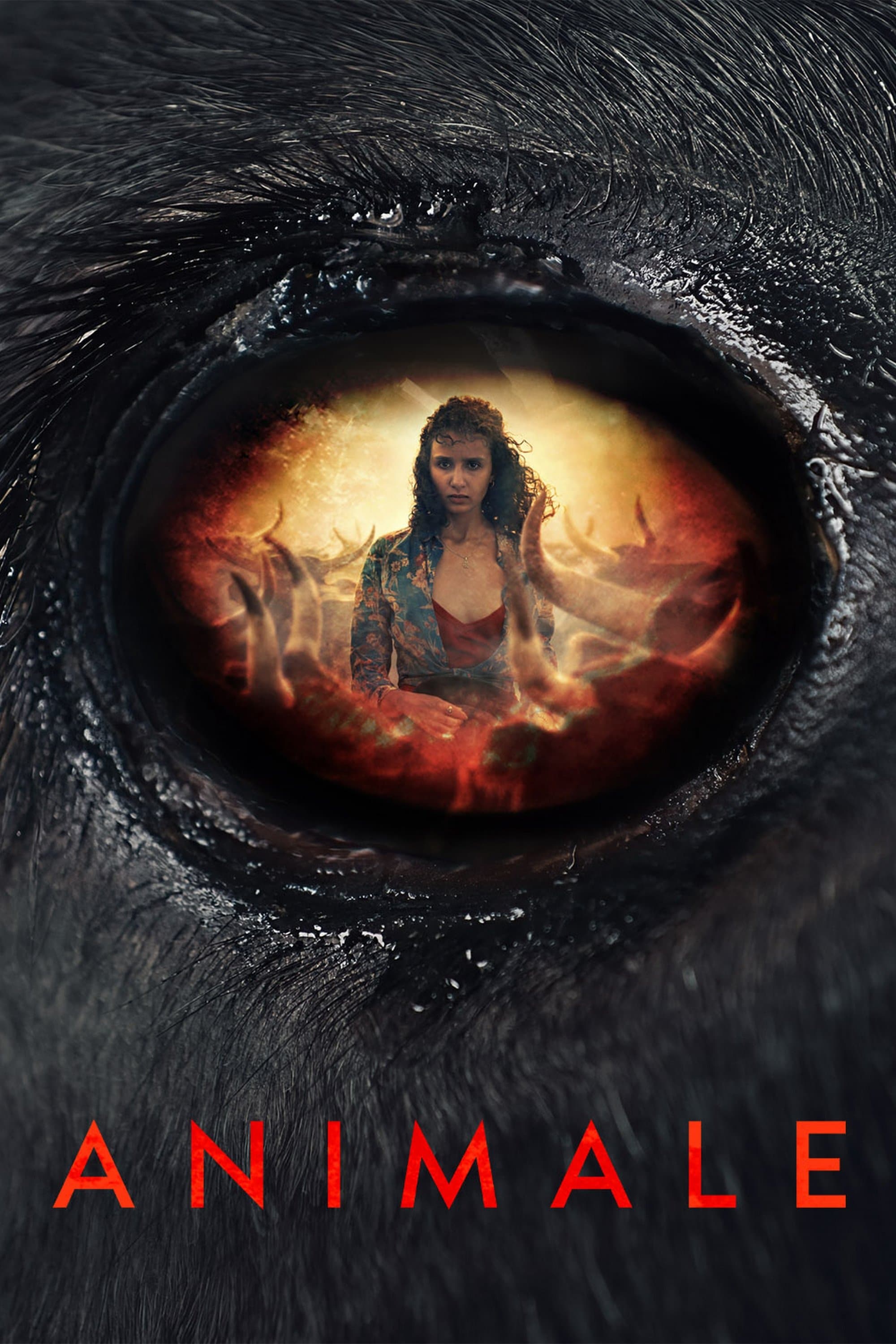 Animale full movie