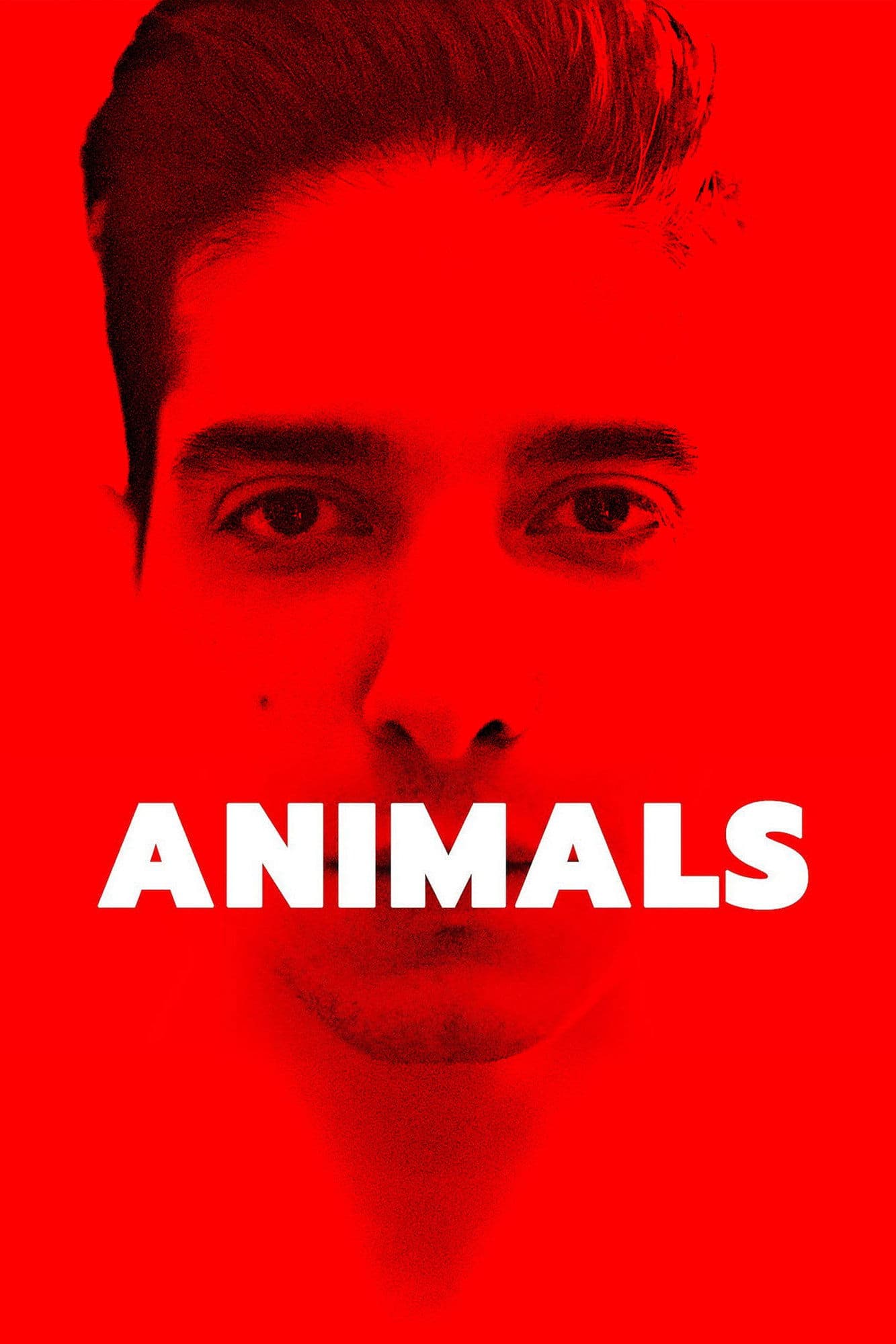 Animals full movie