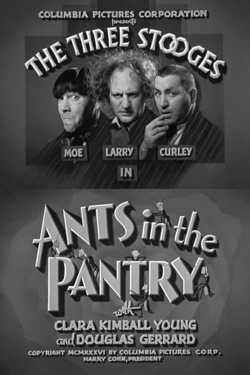 Ants in the Pantry full movie
