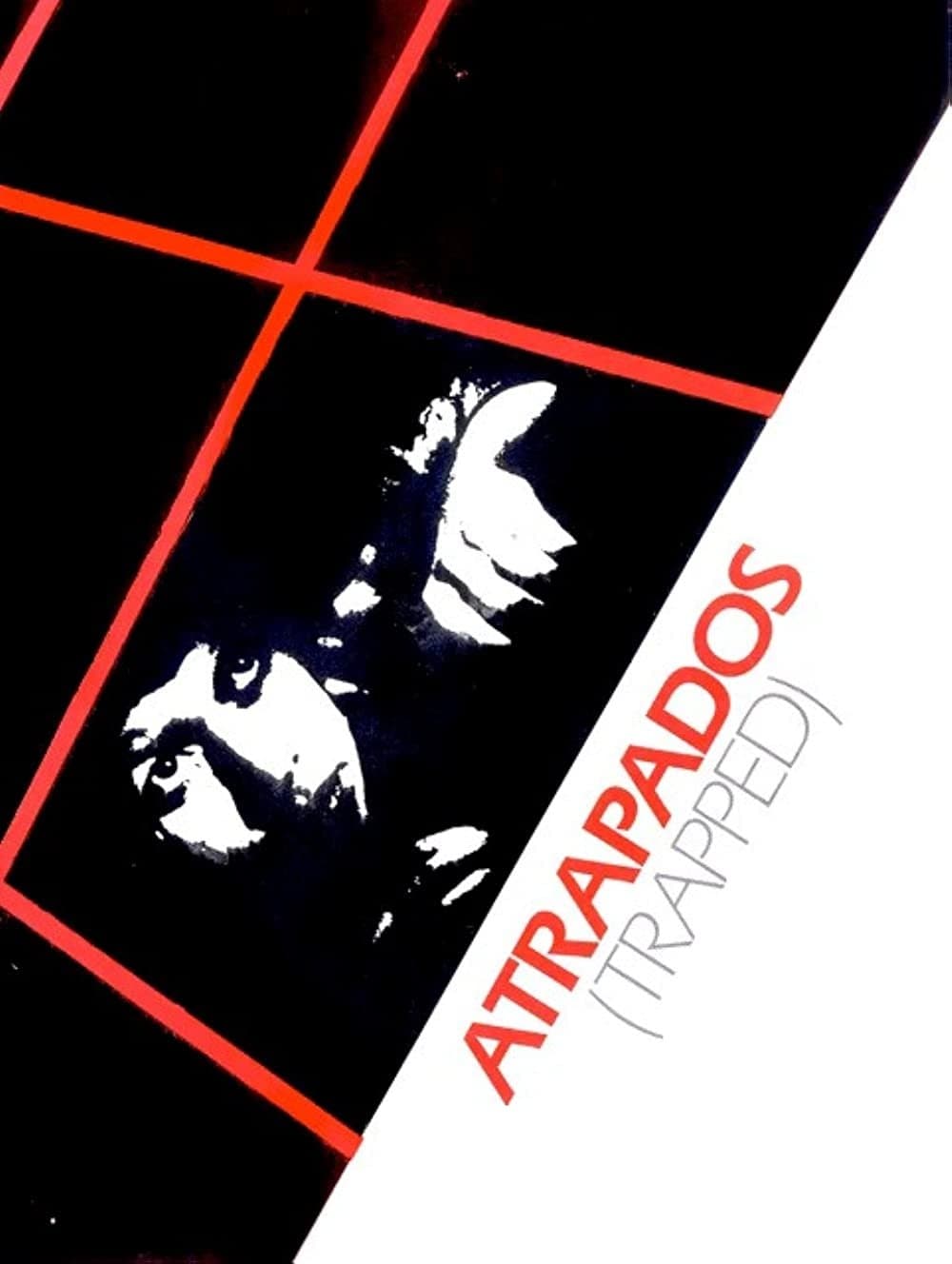 Atrapados full movie