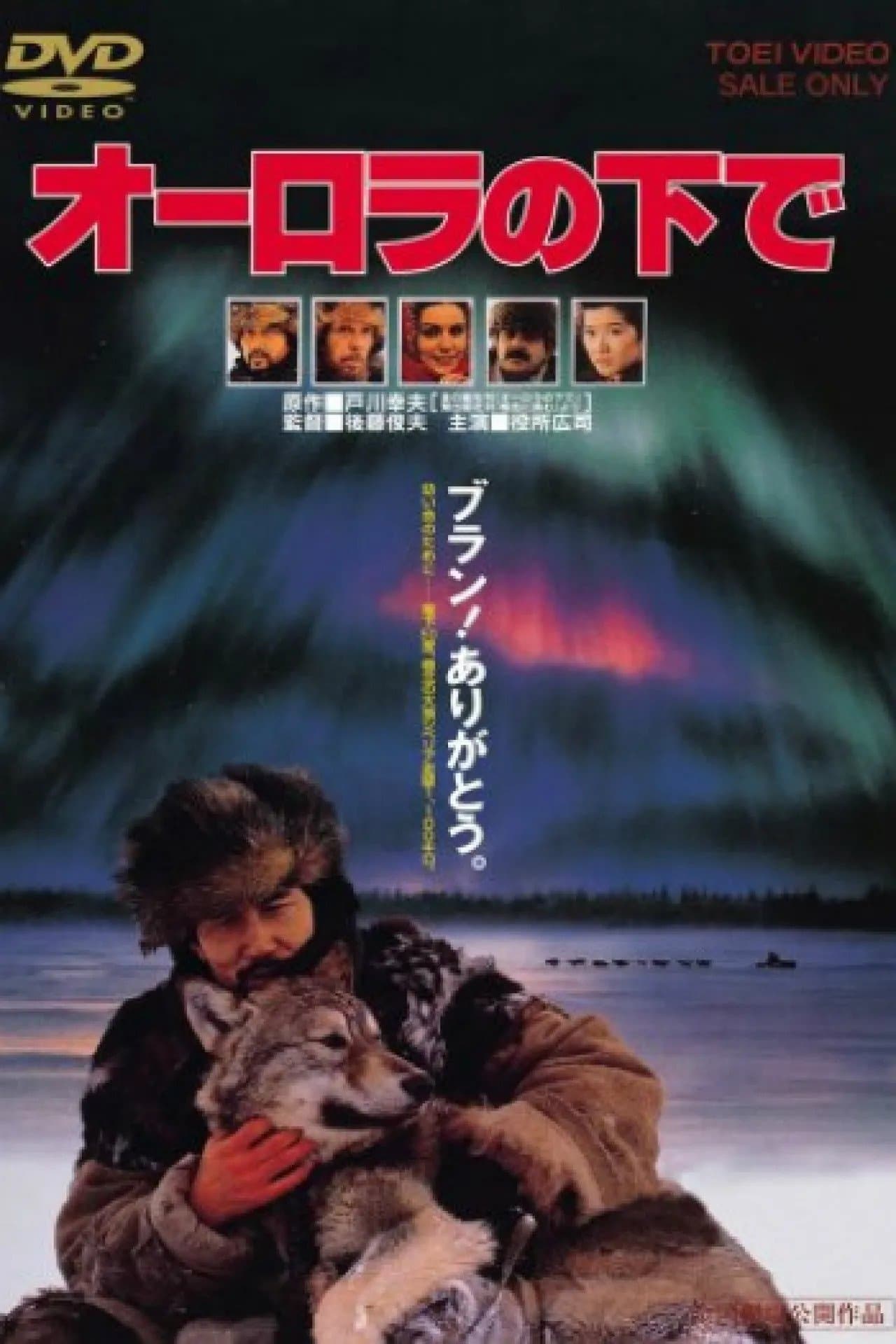 Aurora Borealis full movie