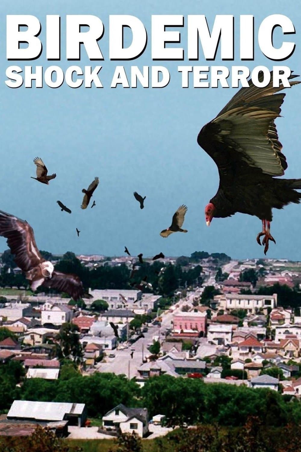 Birdemic: Shock and Terror full movie