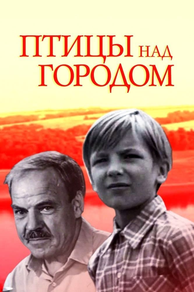 Birds Over the City full movie