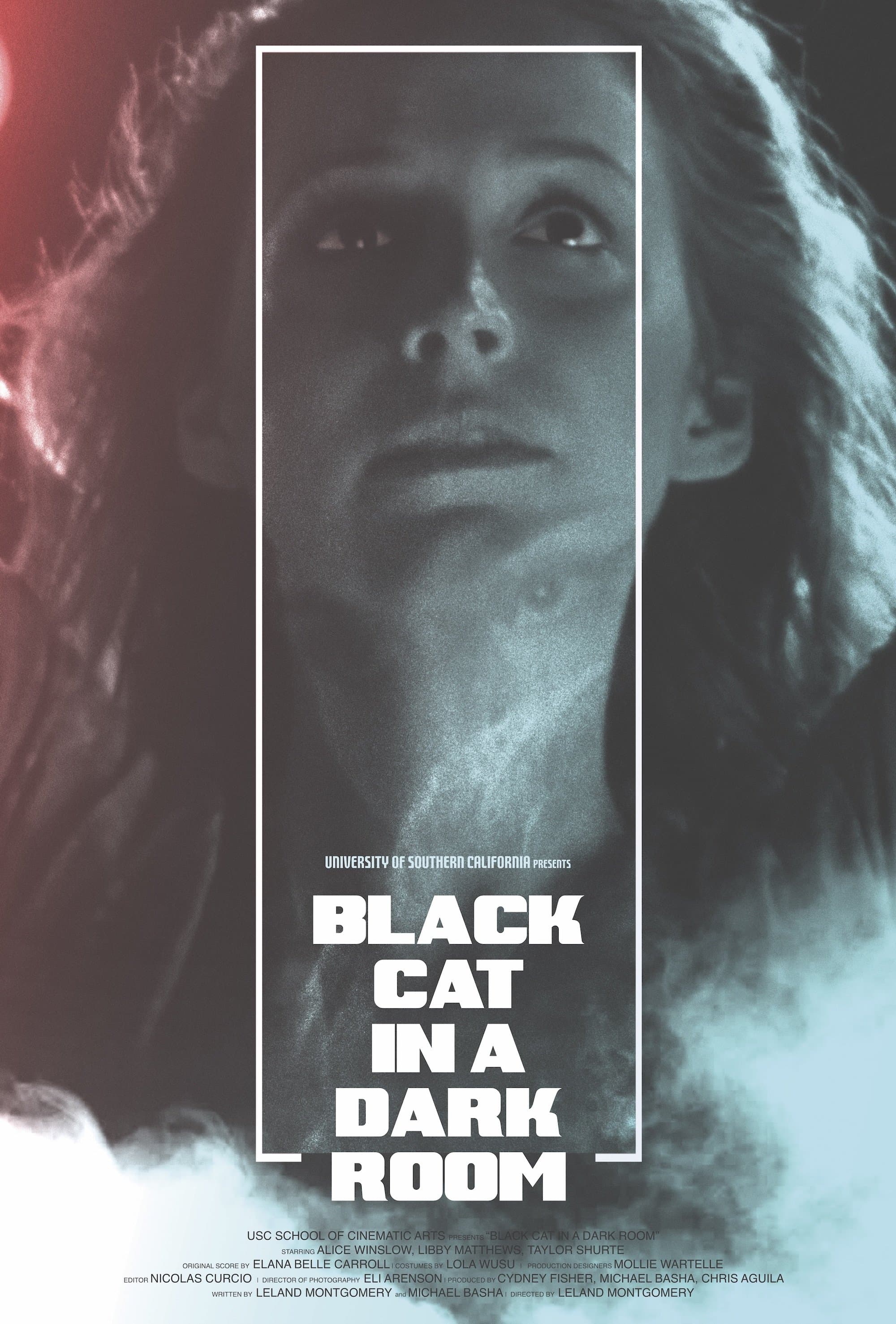 Black Cat in a Dark Room full movie