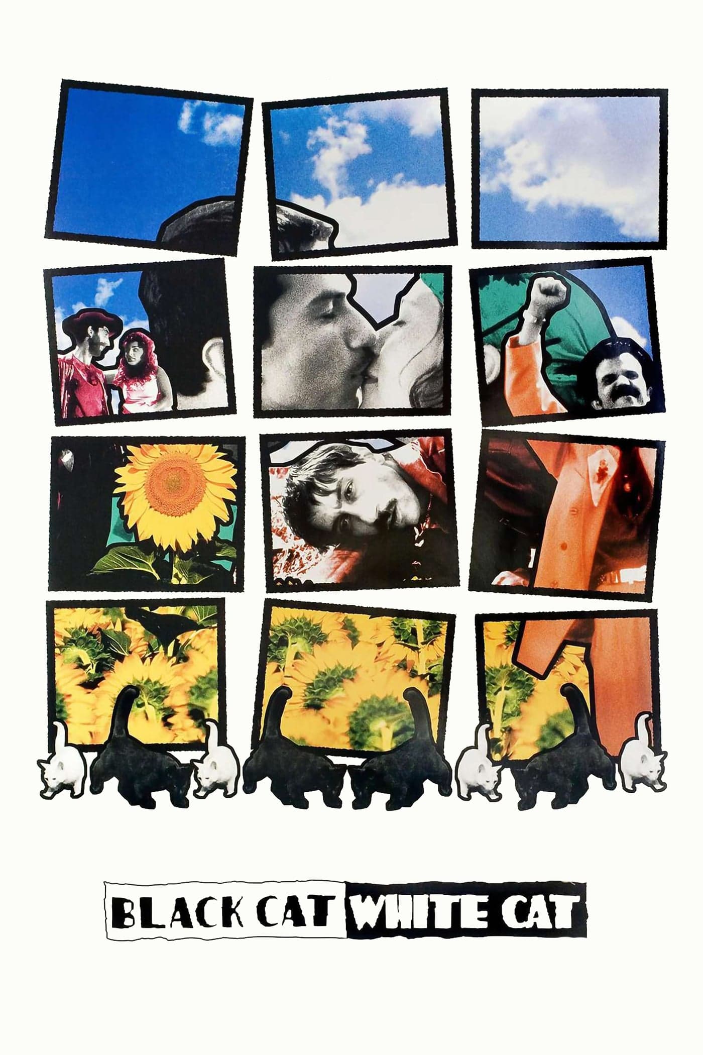 Black Cat, White Cat full movie