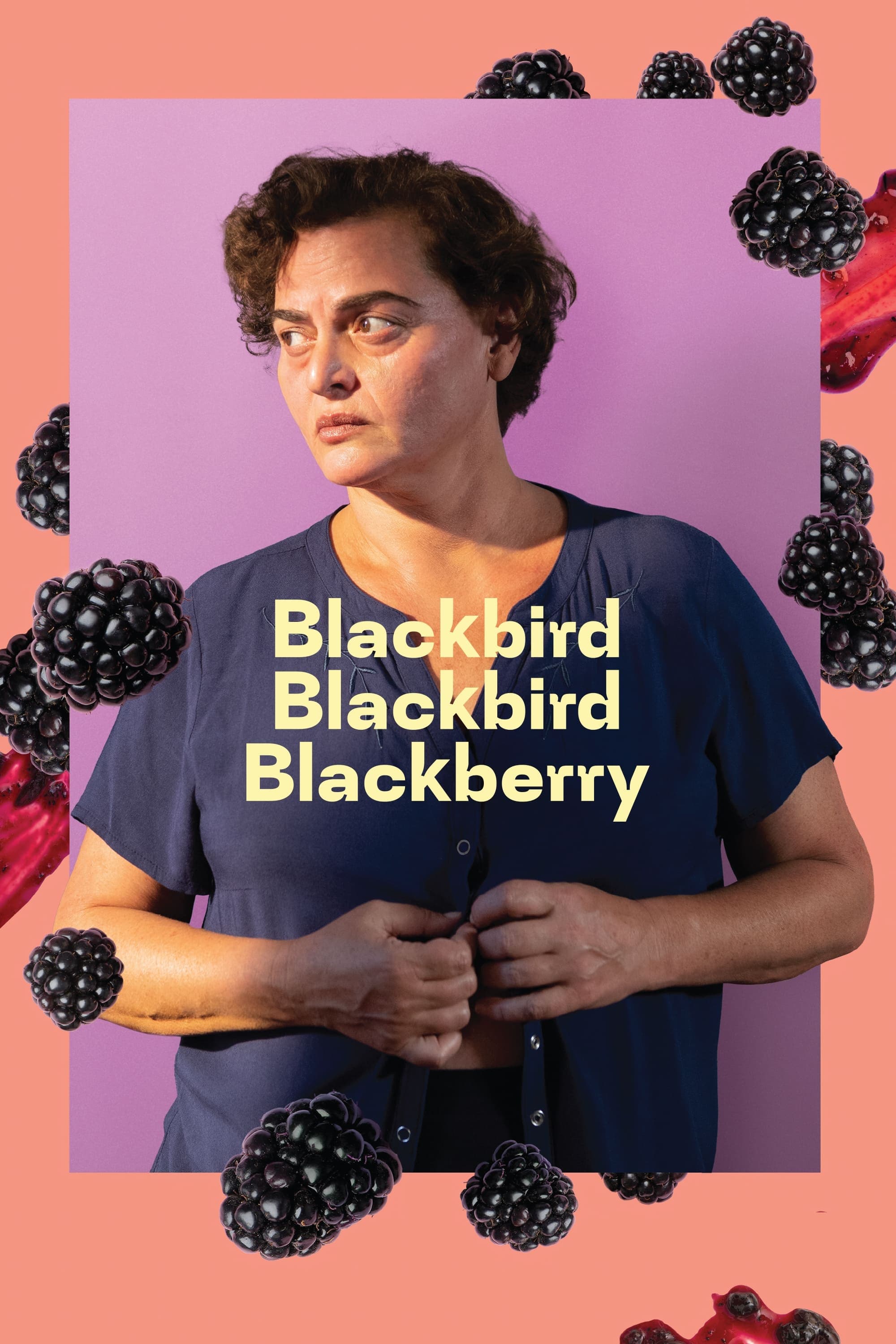 Blackbird Blackbird Blackberry full movie