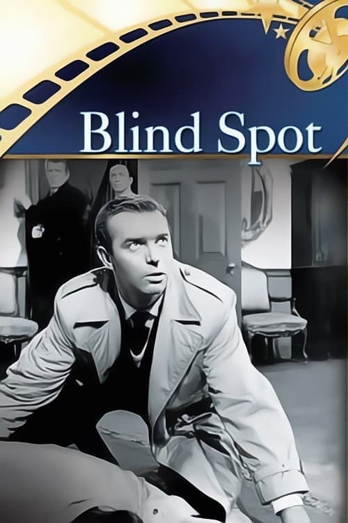 Blind Spot full movie