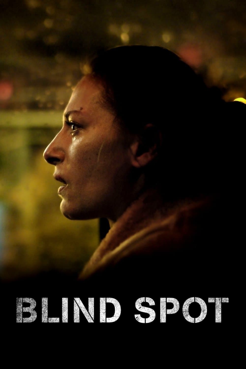 Blind Spot full movie