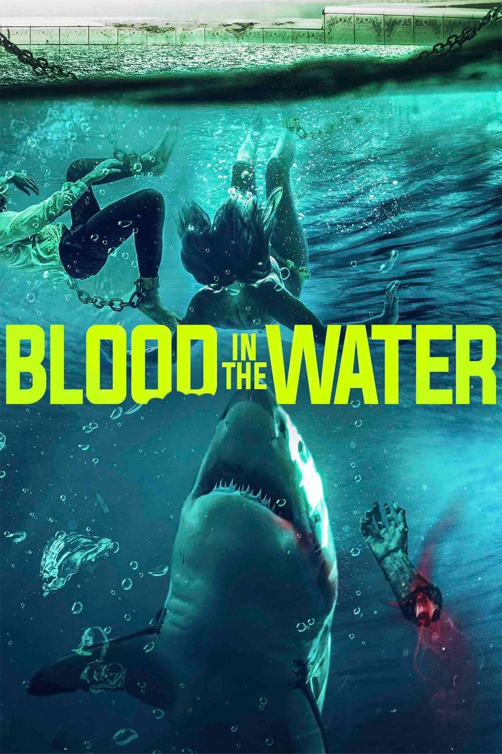 Blood in the Water full movie