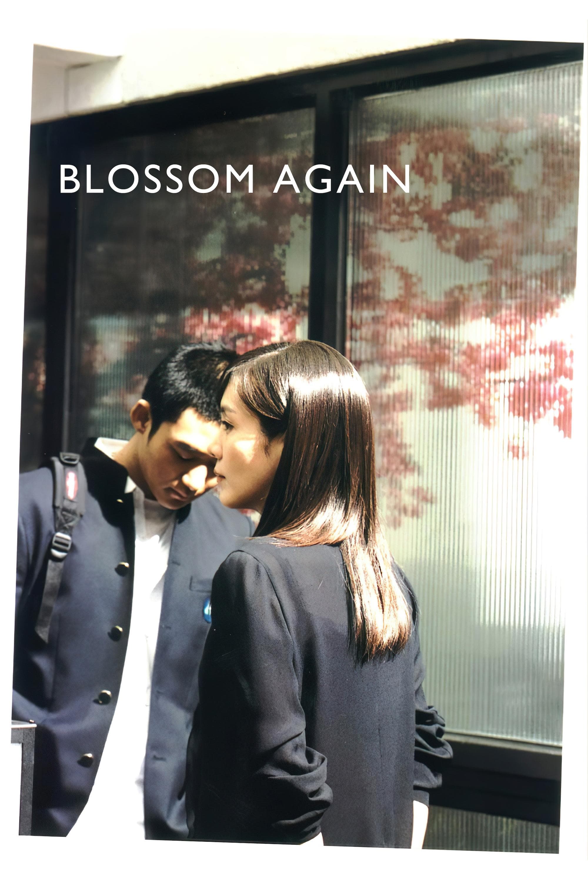 Blossom Again full movie