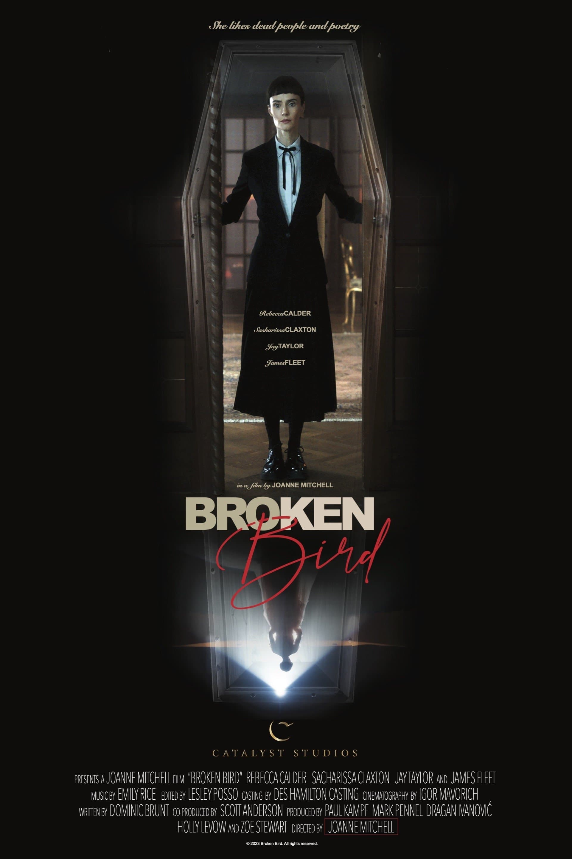 Broken Bird full movie