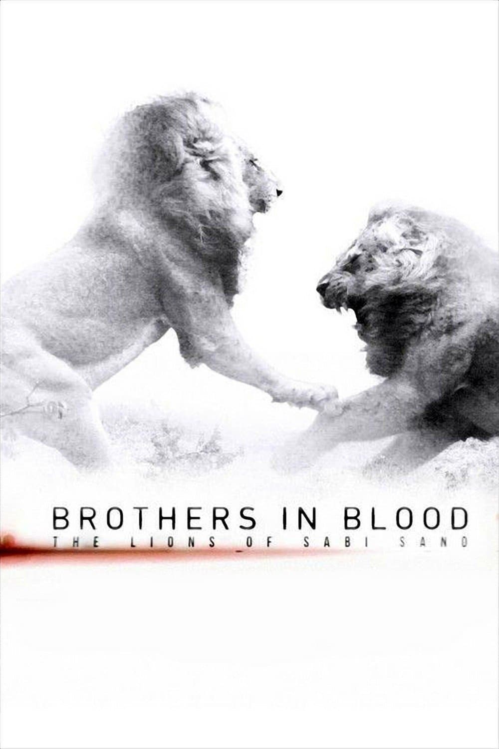 Brothers in Blood: The Lions of Sabi Sand full movie
