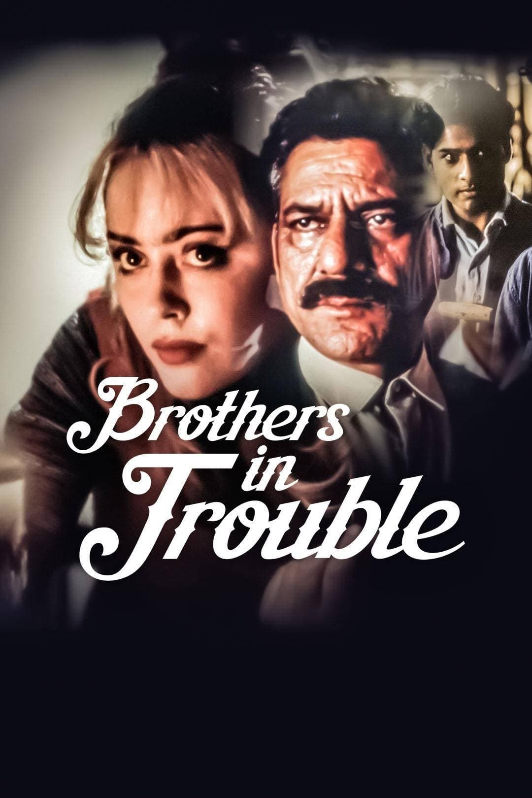 Brothers in Trouble full movie