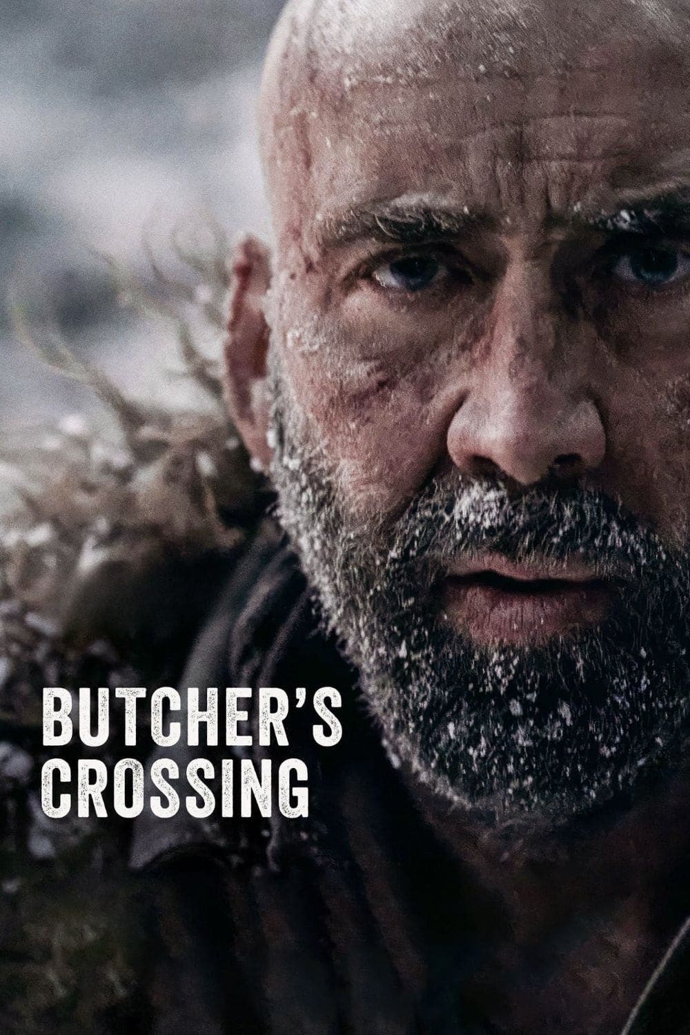 Butcher's Crossing full movie