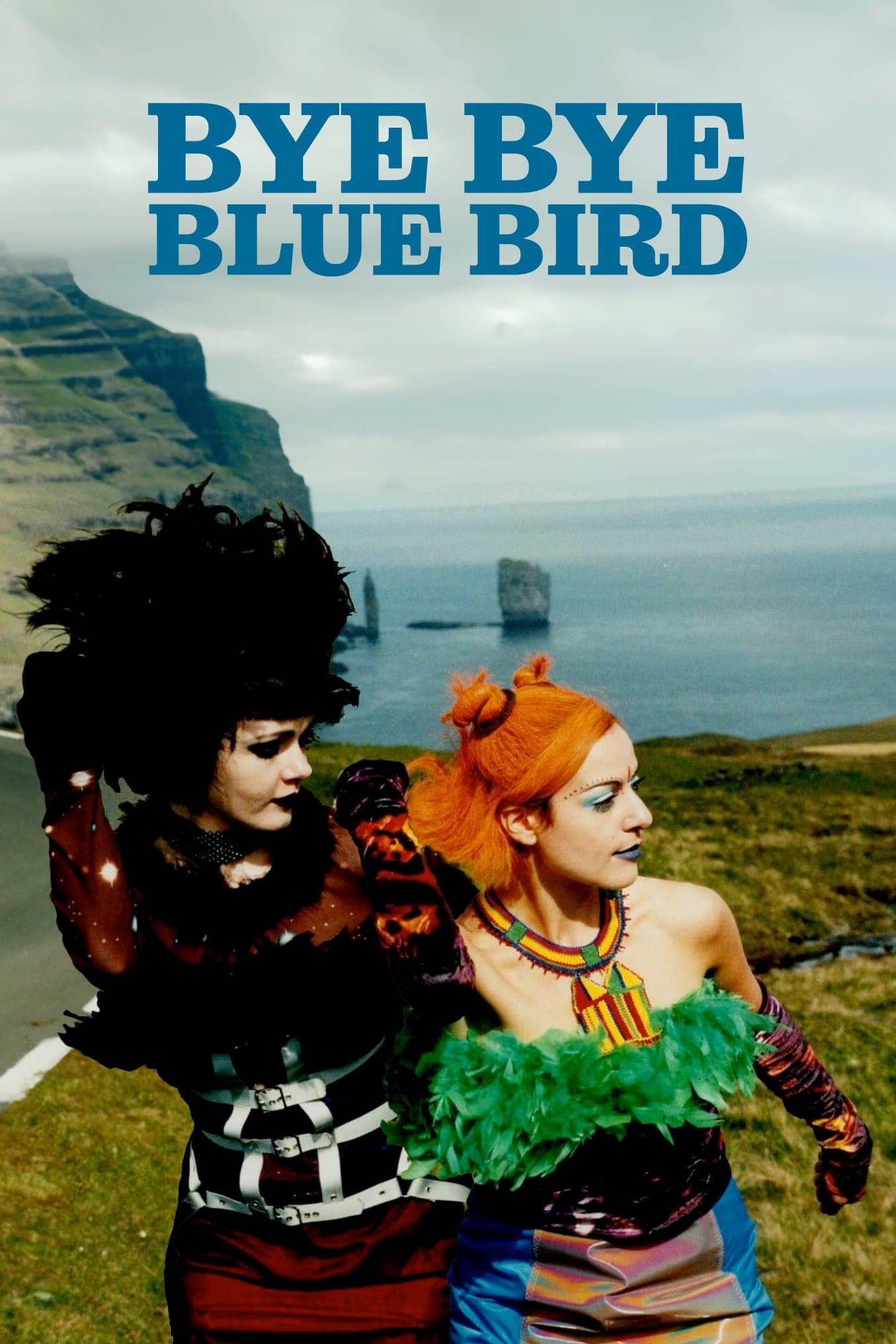 Bye Bye Blue Bird full movie