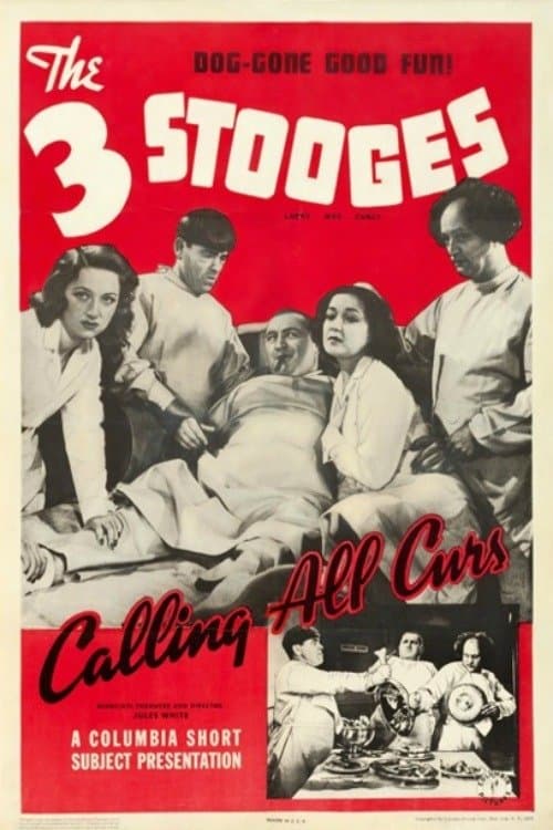 Calling All Curs full movie