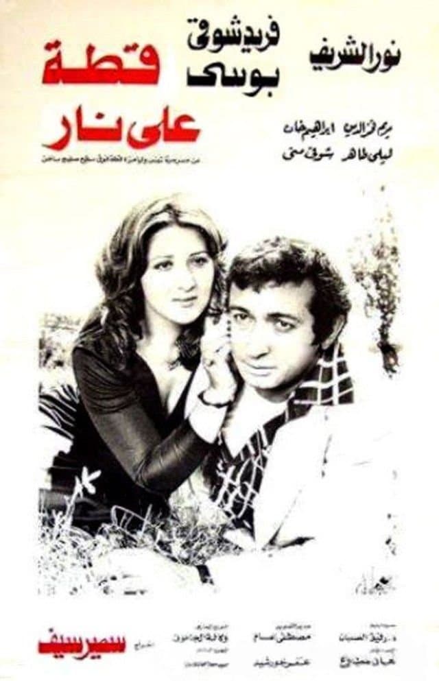 Cat on Fire full movie