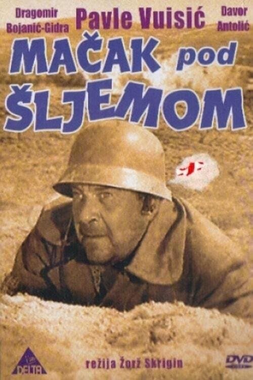Cat Under a Helmet full movie