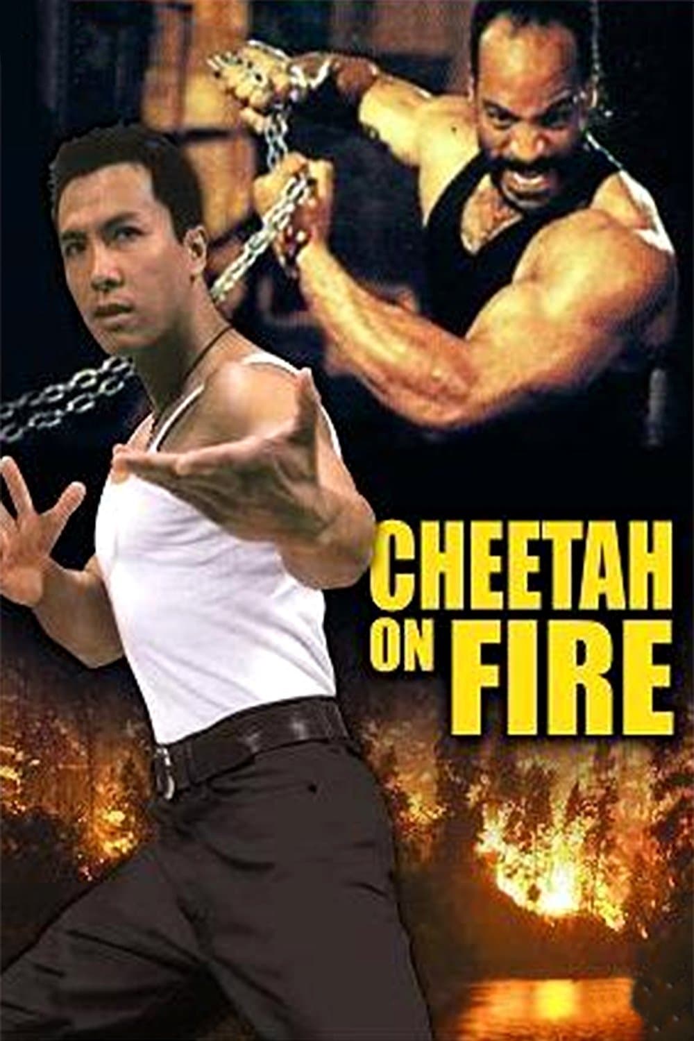 Cheetah on Fire full movie