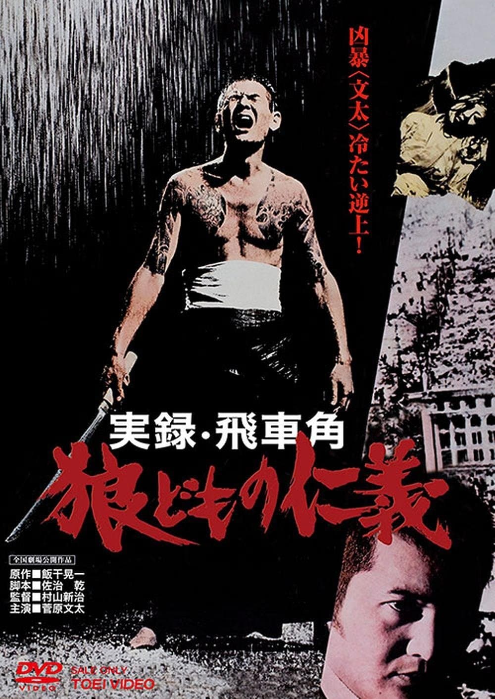 Code of Wolves full movie