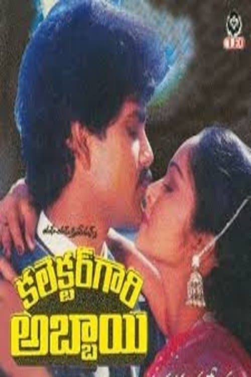 Collector Gari Abbai full movie