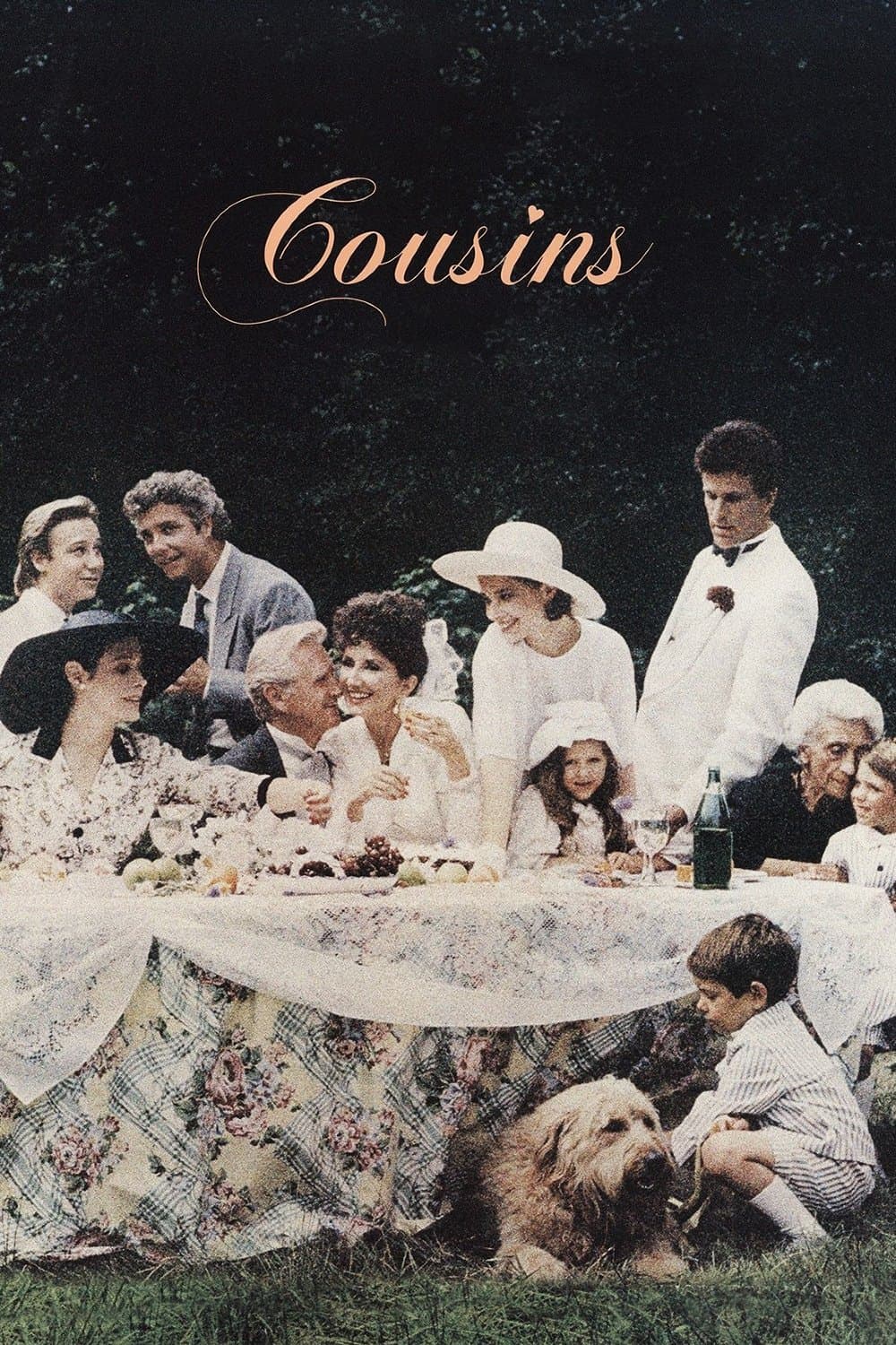 Cousins full movie