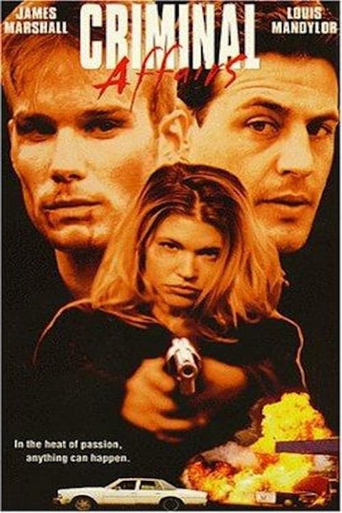 Criminal Affairs full movie