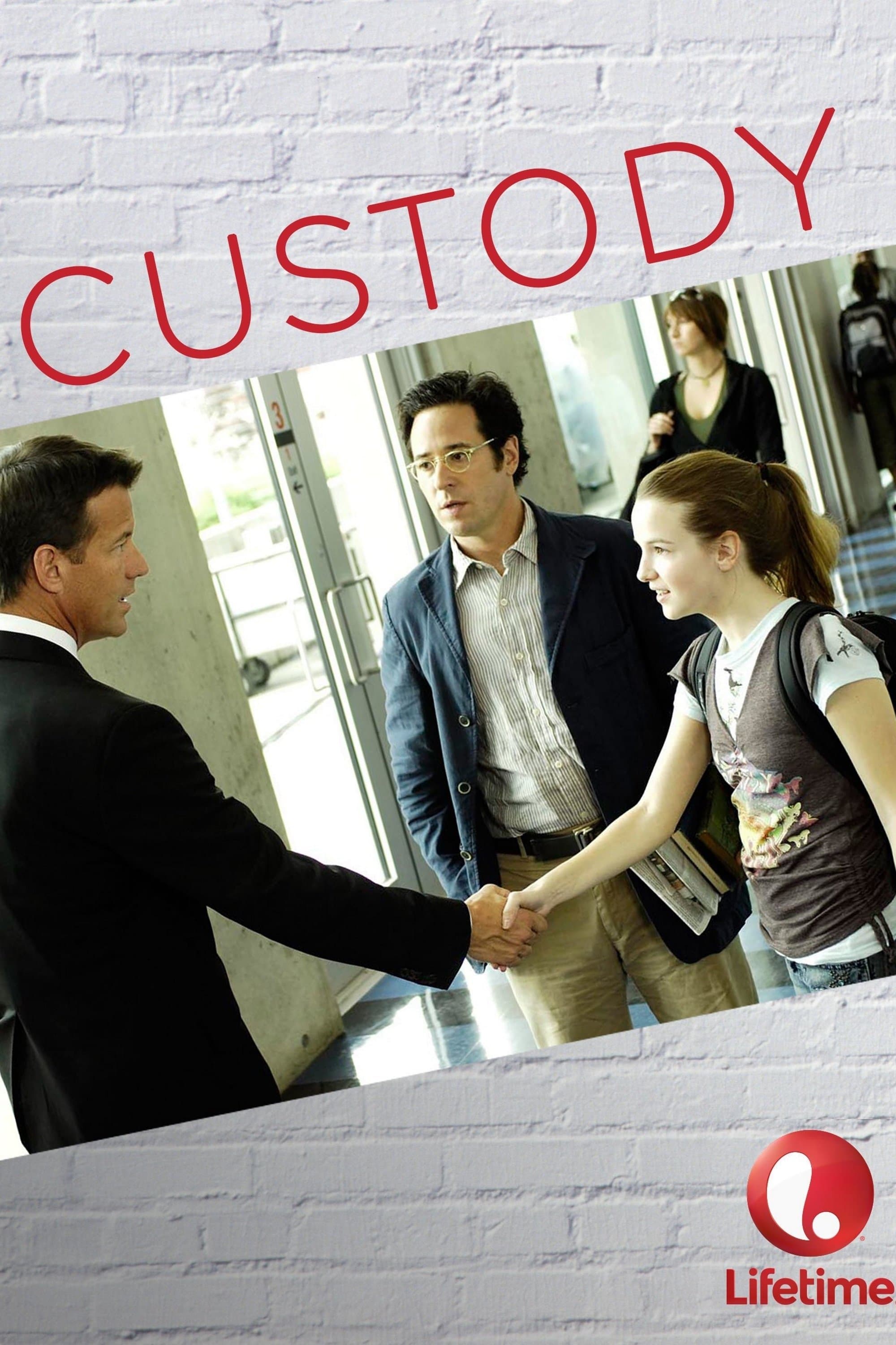 Custody full movie