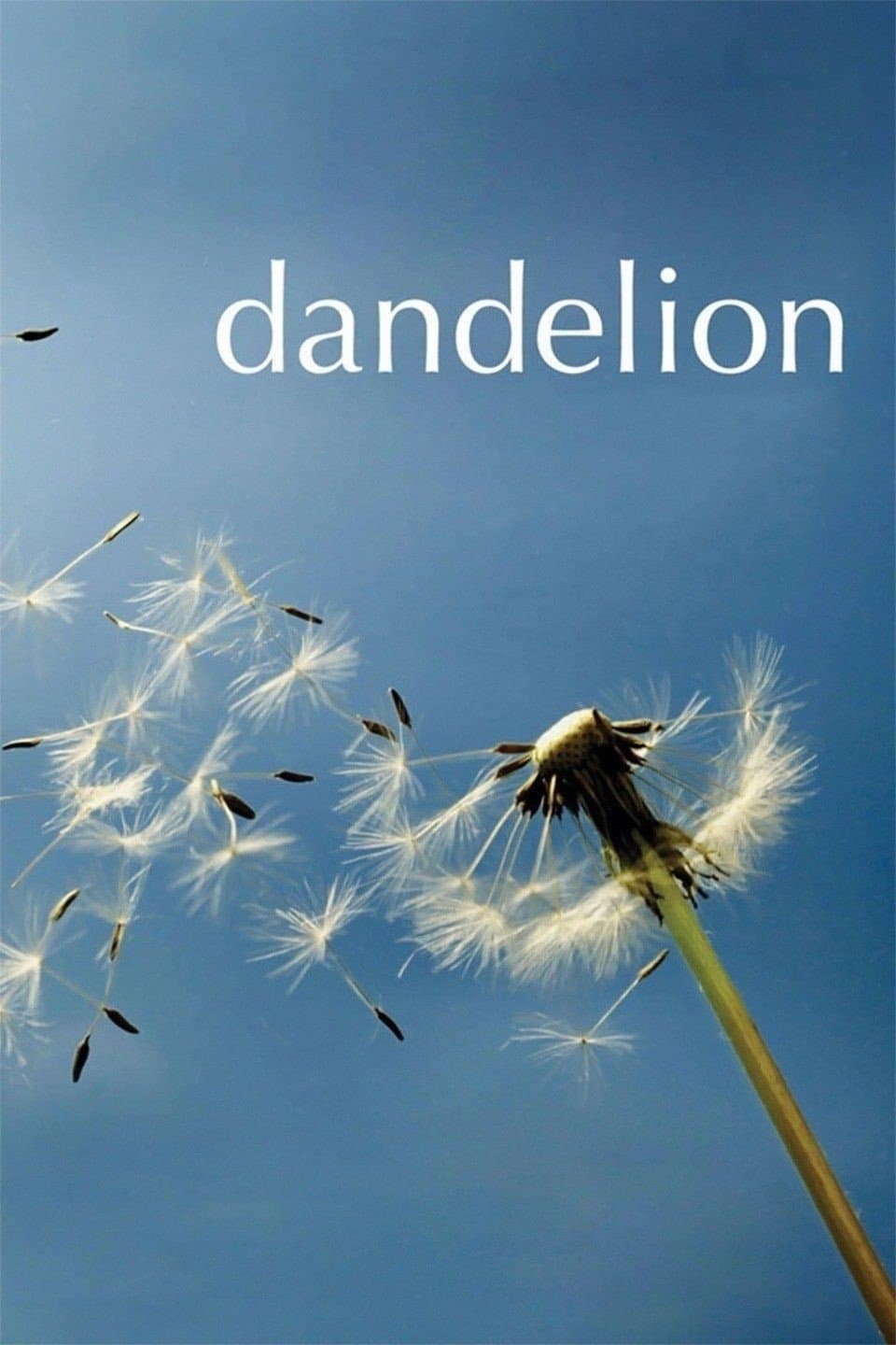 Dandelion full movie