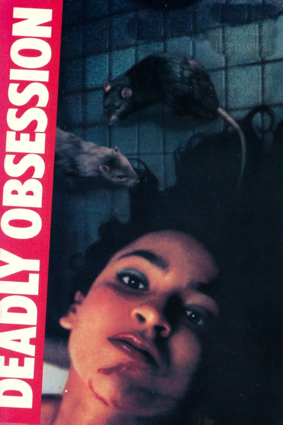 Deadly Obsession full movie