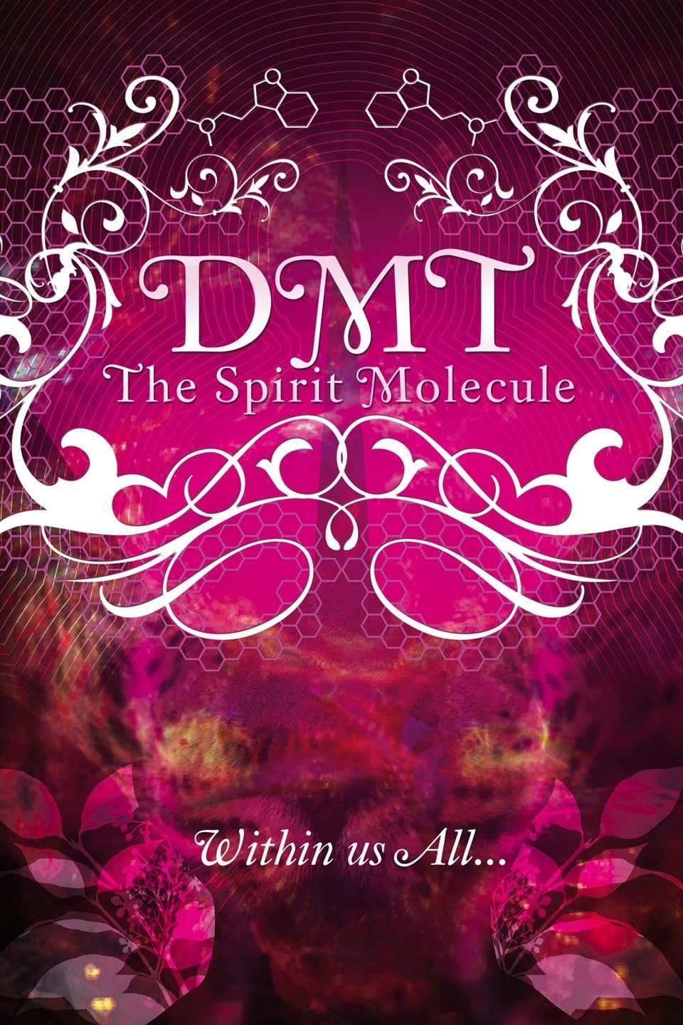 DMT: The Spirit Molecule full movie