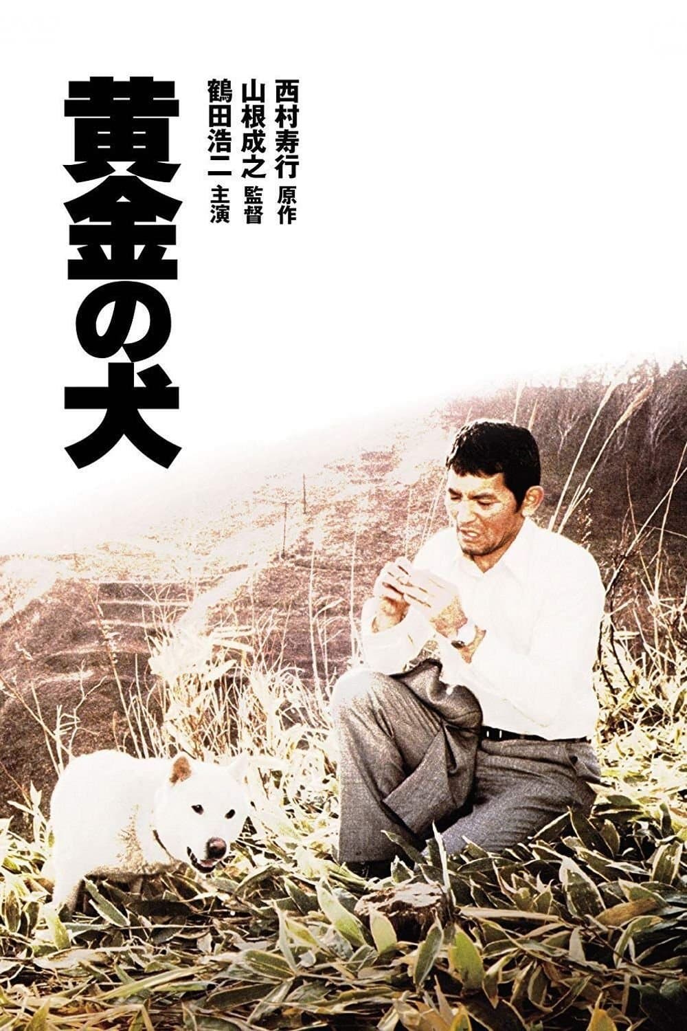 Dog of Fortune full movie